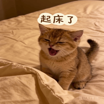 动图表情包 - 王嘉慧