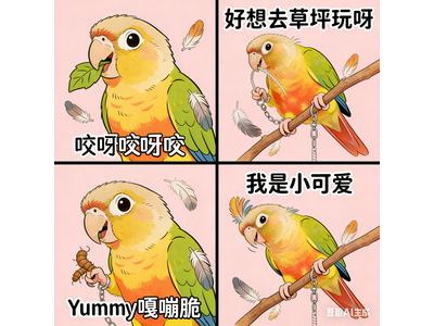 作品预览