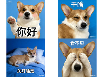 作品预览