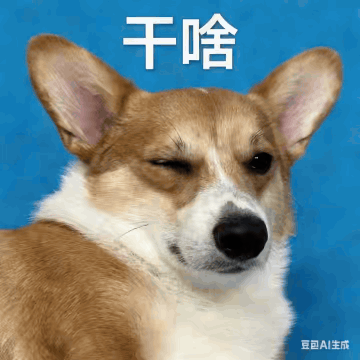 作品预览